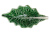 BOR65000719-1 BOR65000719-1
